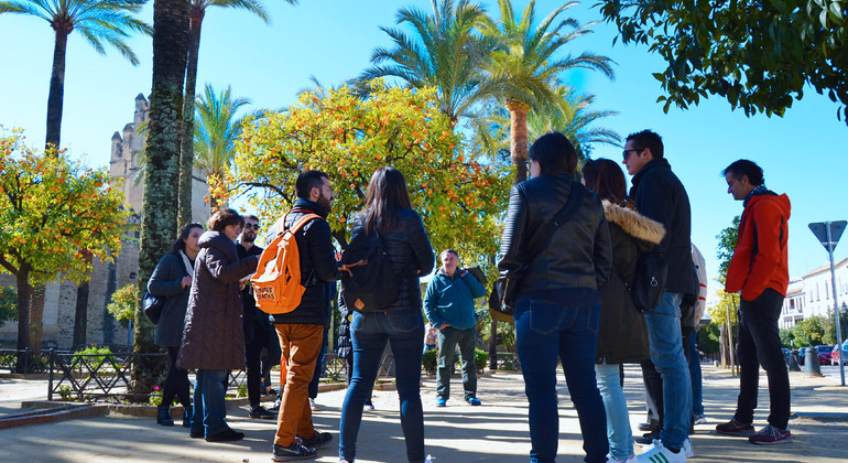 Alcázar de Reyes Católicos en Córdoba Visita Guiada