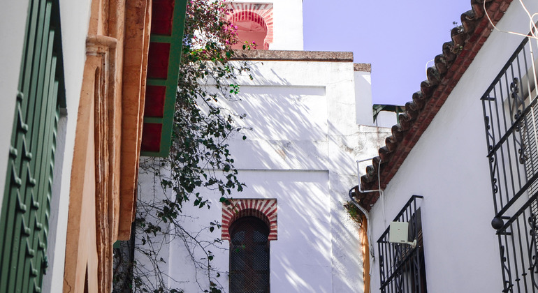 Visita Guiada a la Mezquita-Catedral, Sinagoga y Judería con entradas