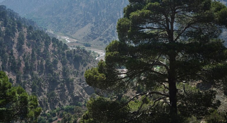 Ourika Valley Atlas Mt Half-Day Tour