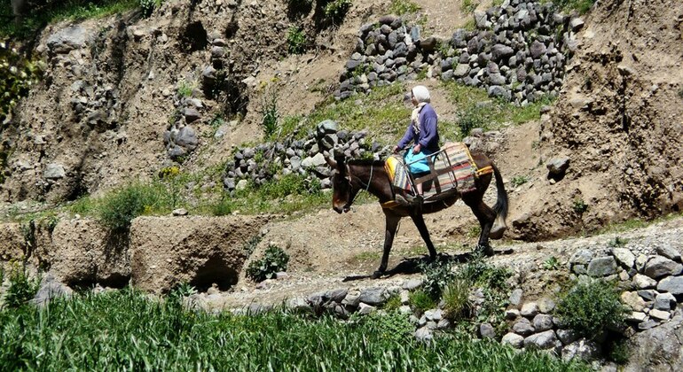 Ourika Valley Atlas Mt Half-Day Tour