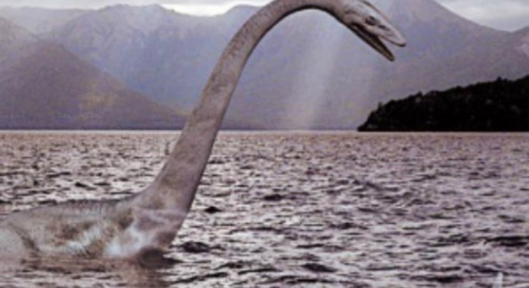 Dieci segreti e un sapore unico - Tour di Bariloche