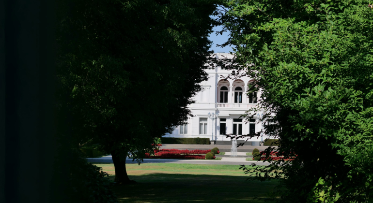 Government Quarter Tour Bonn
