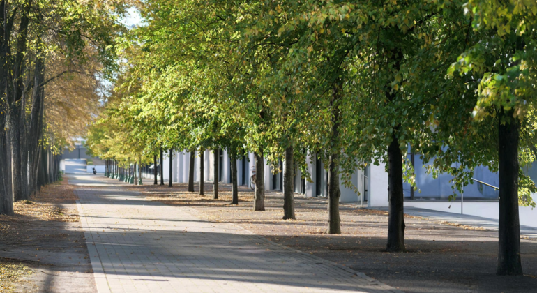 Government Quarter Tour Bonn
