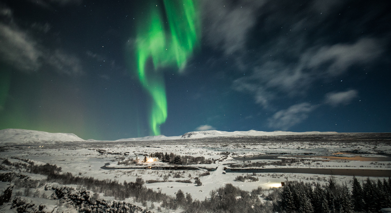 Northern Lights Bus Tour
