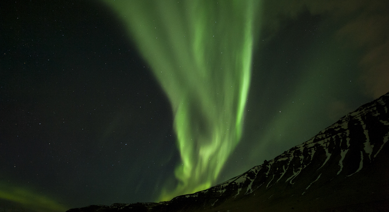 Northern Lights Bus Tour