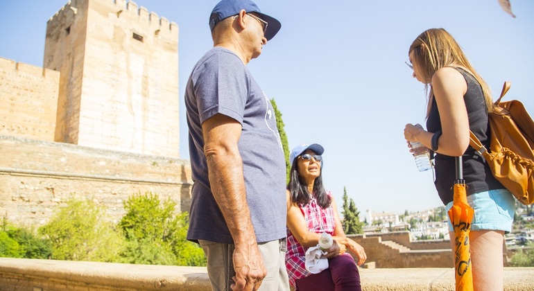 Tour privato a Granada