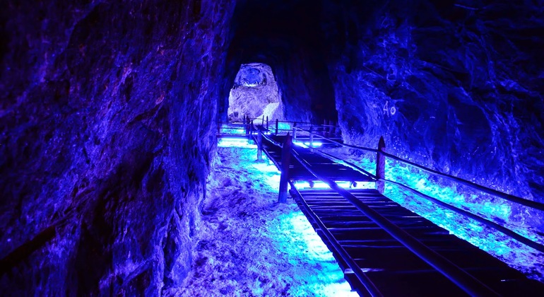 Zipaquirá and Mina de Sal de Nemocón Private Tour all Inclusive