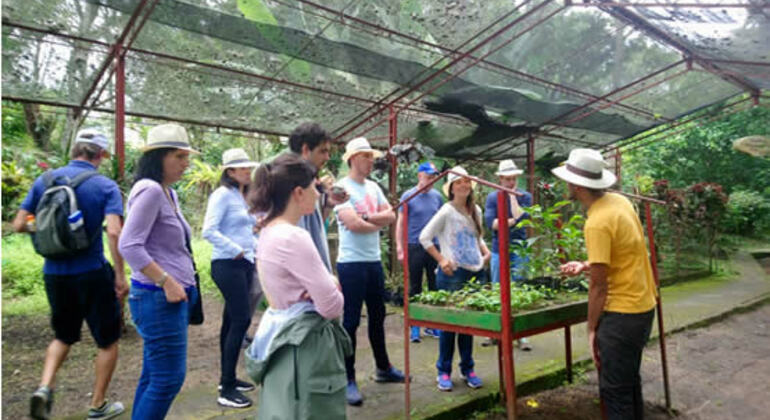 Salto del Tequendama and Coffee Farm Tour