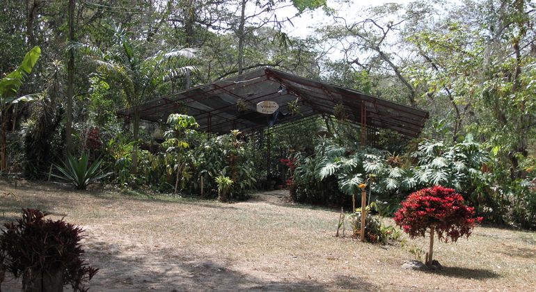 Salto del Tequendama and Coffee Farm Tour