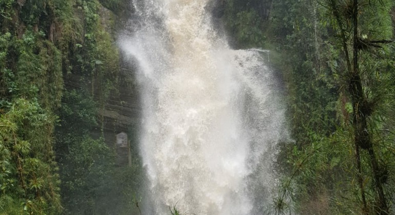 From Bogotá: Tour to the Waterfall of La Chorrera