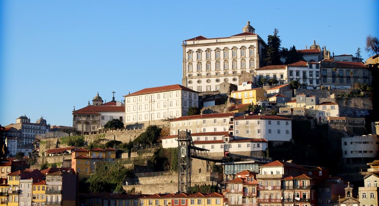Wine Tour in Porto with Visit to a Cellar