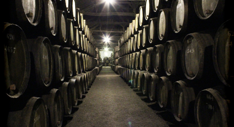 Wine Tour in Porto with Visit to a Cellar