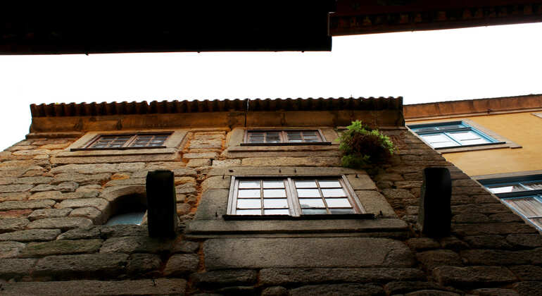 Wine Tour in Porto with Visit to a Cellar