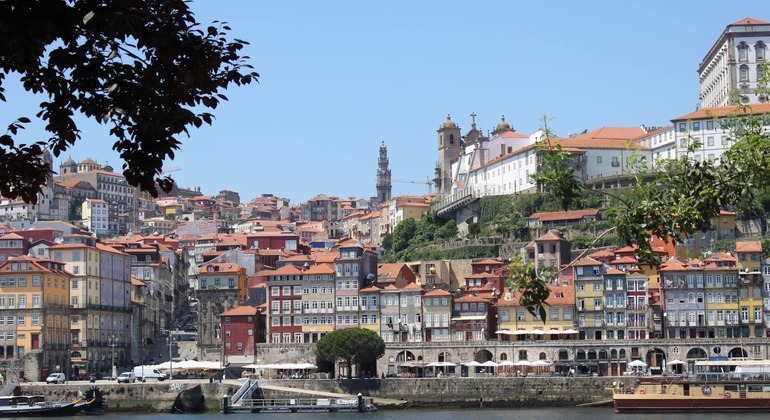 Wine Tour in Porto with Visit to a Cellar