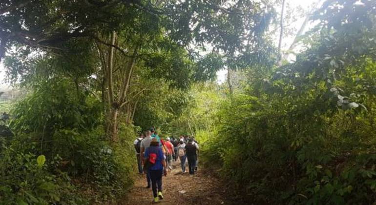 Excursión a las Cataratas de Monte Plata