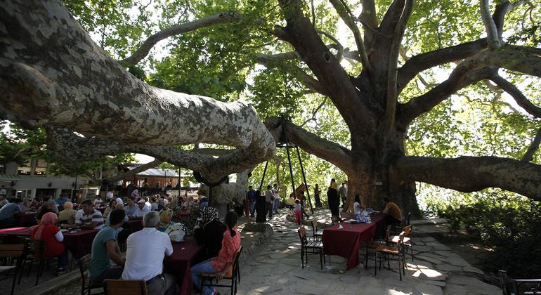 Daily Bursa Tour From Istanbul