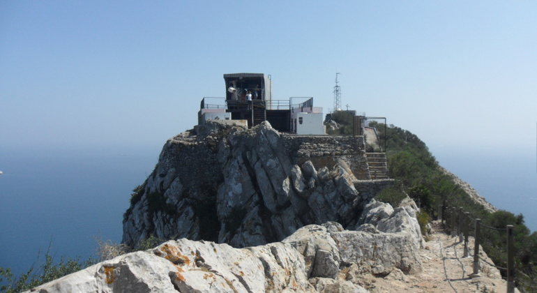 Gibraltar Upper Rock Tour