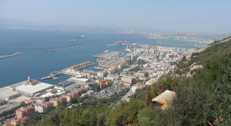 Gibraltar Upper Rock Tour