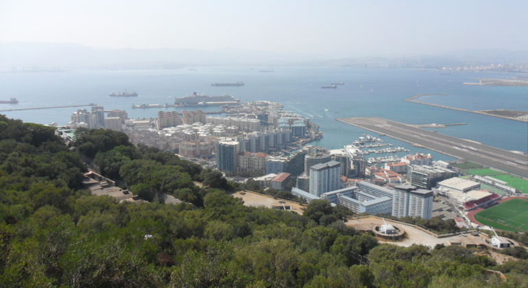 Gibraltar Upper Rock Tour
