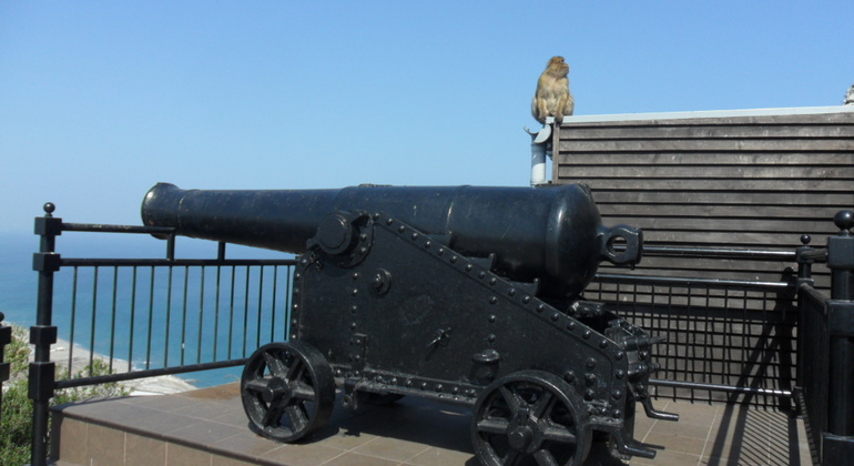 Gibraltar Upper Rock Tour