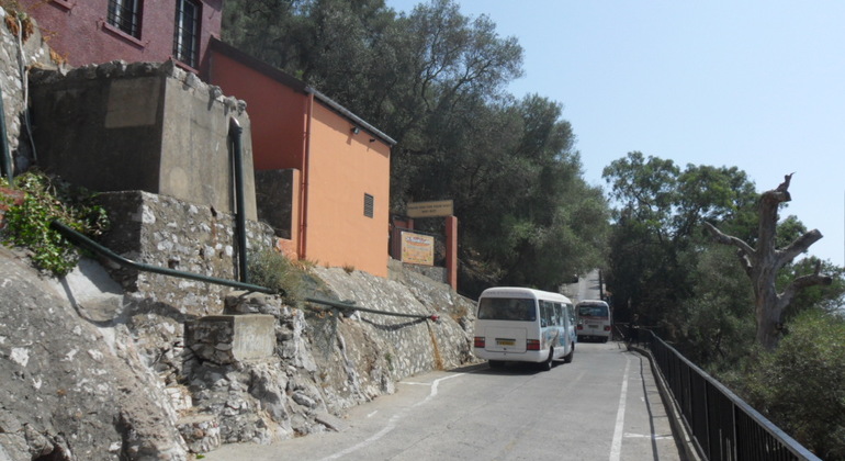 Gibraltar Upper Rock Tour