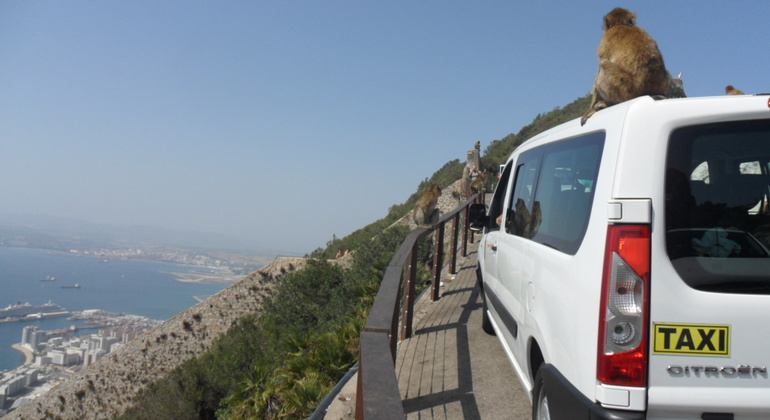 Gibraltar Upper Rock Tour