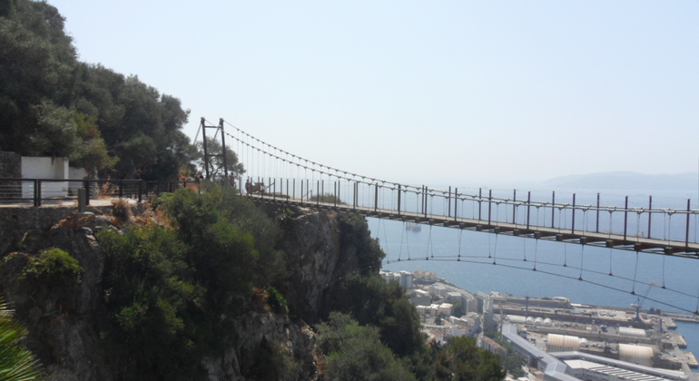 Gibraltar Upper Rock Tour