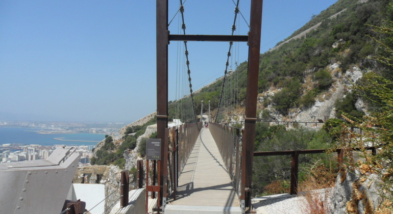 Gibraltar Upper Rock Tour