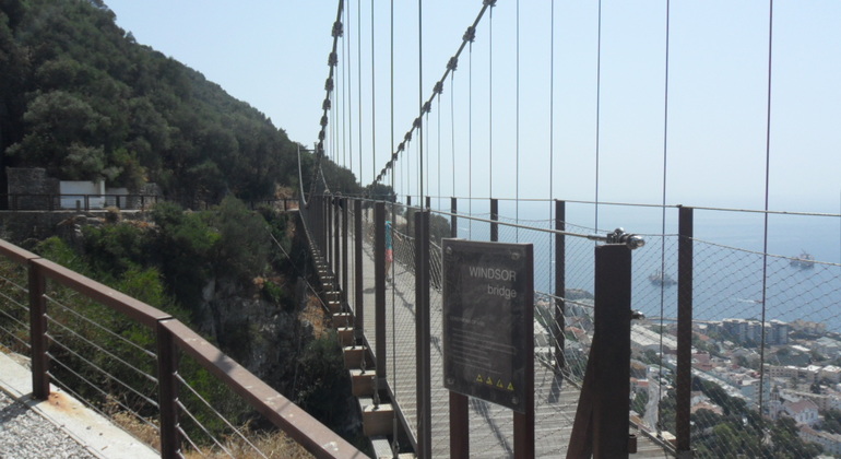 Gibraltar Upper Rock Tour