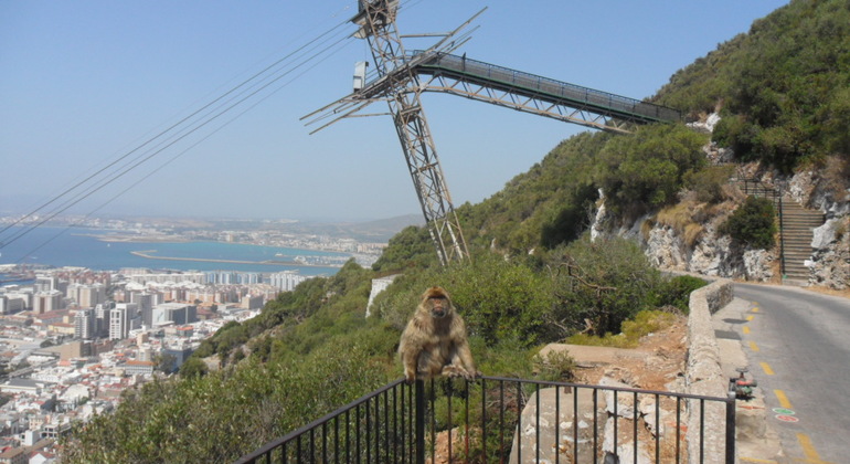 Gibraltar Upper Rock Tour