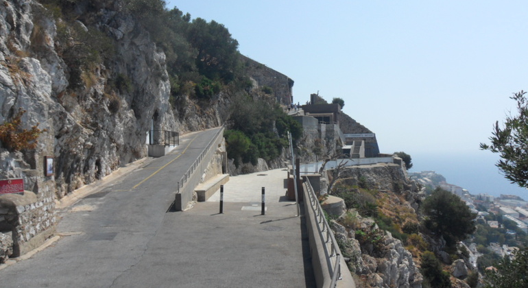 Gibraltar Upper Rock Tour
