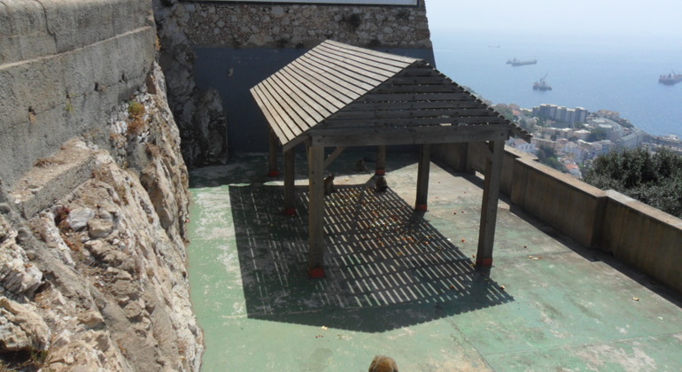 Gibraltar Upper Rock Tour