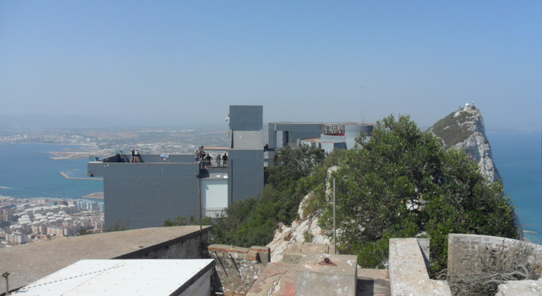 Gibraltar Upper Rock Tour