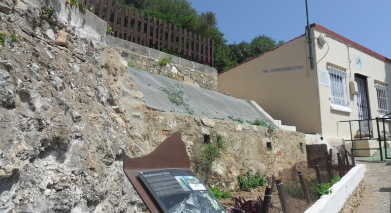 Gibraltar Upper Rock Tour
