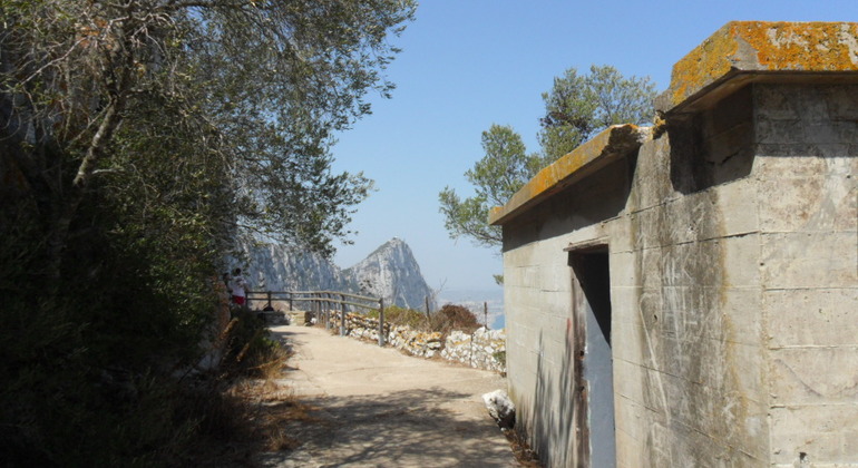 Gibraltar Upper Rock Tour