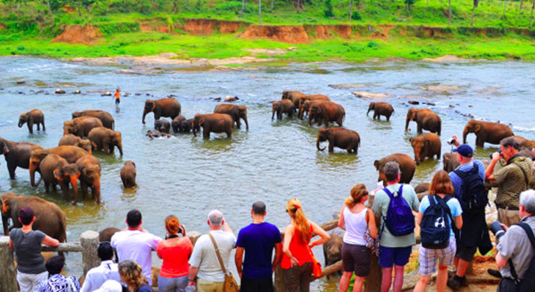 Excursión privada de un día a Kandy (Sri Lanka)