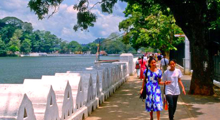 Excursión privada de un día a Kandy (Sri Lanka)