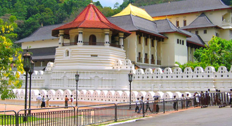 Excursión privada de un día a Kandy (Sri Lanka)