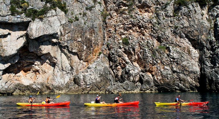 Sea Kayaking Tour