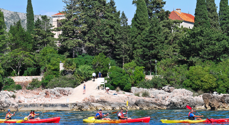 Sea Kayaking Tour