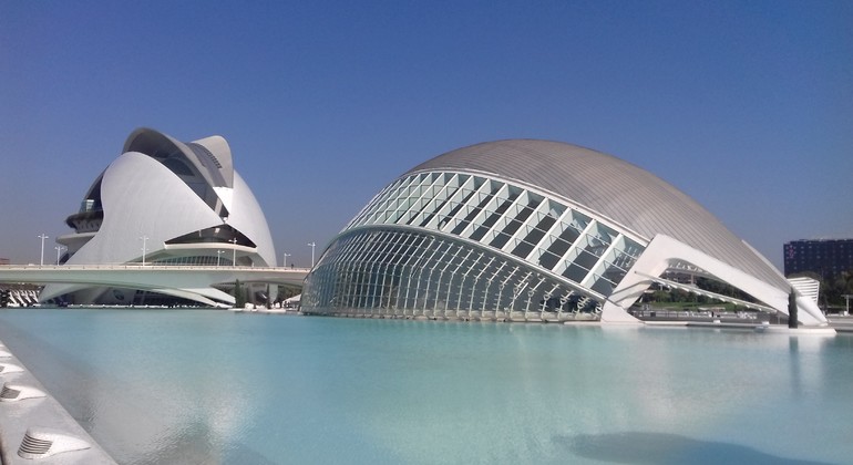 Visita della Città delle Arti e delle Scienze di Valencia 
