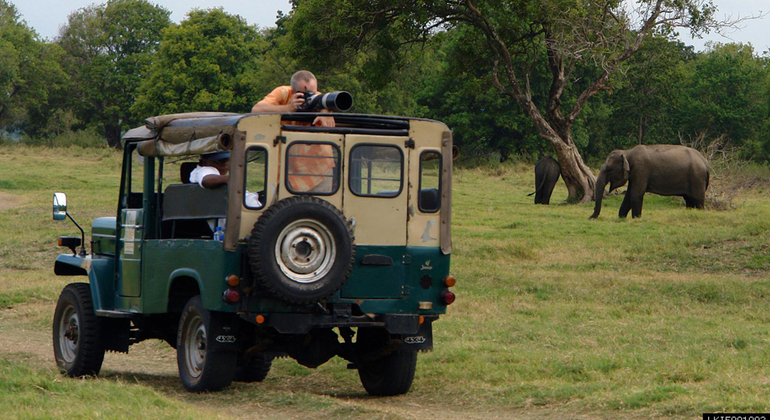 Día Completo en el Parque Nacional Udawalawe Safari