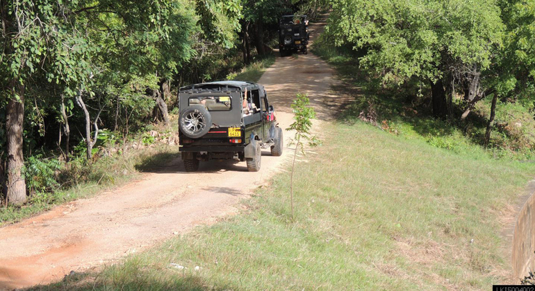 Kaudulla National Park Private Safari (3- Hours)