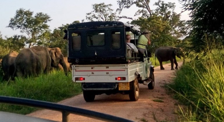 Safari privé de 10 heures dans le parc national de Wasgamuwa