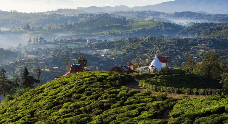 Aspectos Destacados de las Tierras Altas de Kandy