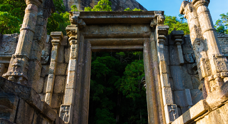 Visite privée de Dambadeniya, Yapahuwa et Panduwasnuwara