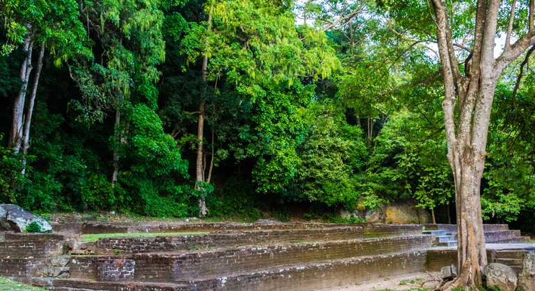 Visite privée de Dambadeniya, Yapahuwa et Panduwasnuwara