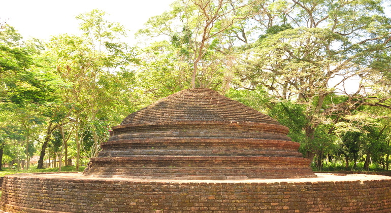 Visite privée de Dambadeniya, Yapahuwa et Panduwasnuwara
