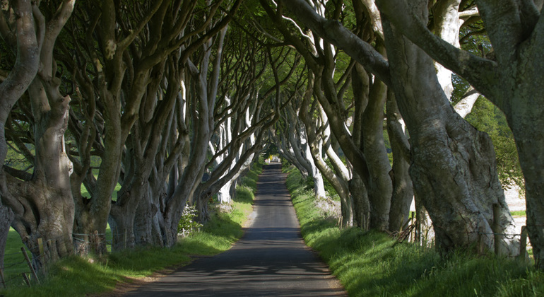 From Dublin : Titanic Experience and Giants Causeway Tour