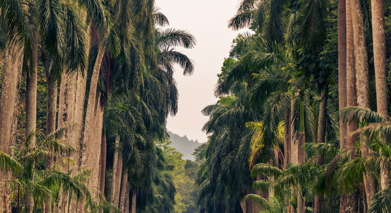 Tour por Lugares de Interés de Kandy desde Kandy